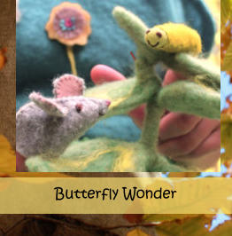 Butterfly Wonder